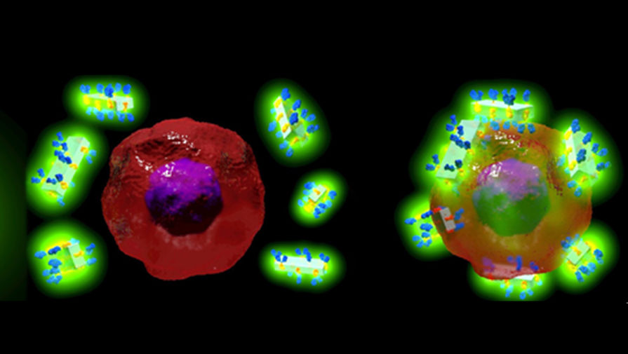 Ученые создали нанососуды с лекарством, которые самонаводятся на больные клетки