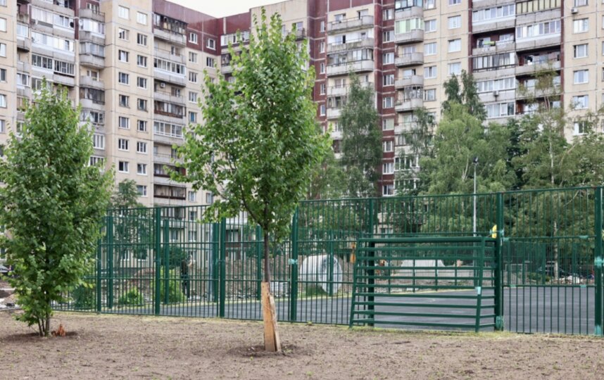 Во дворе на Маршала Казакова появятся тренажёры по поручению губернатора Петербурга