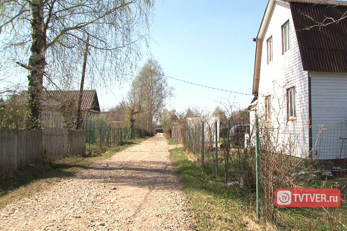 В Тверской области бесследно пропал мужчина с собакой